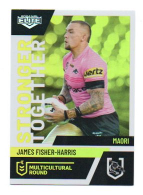 2024 Nrl Elite Multicultural Round (MC23) James Fisher-Harris Panthers