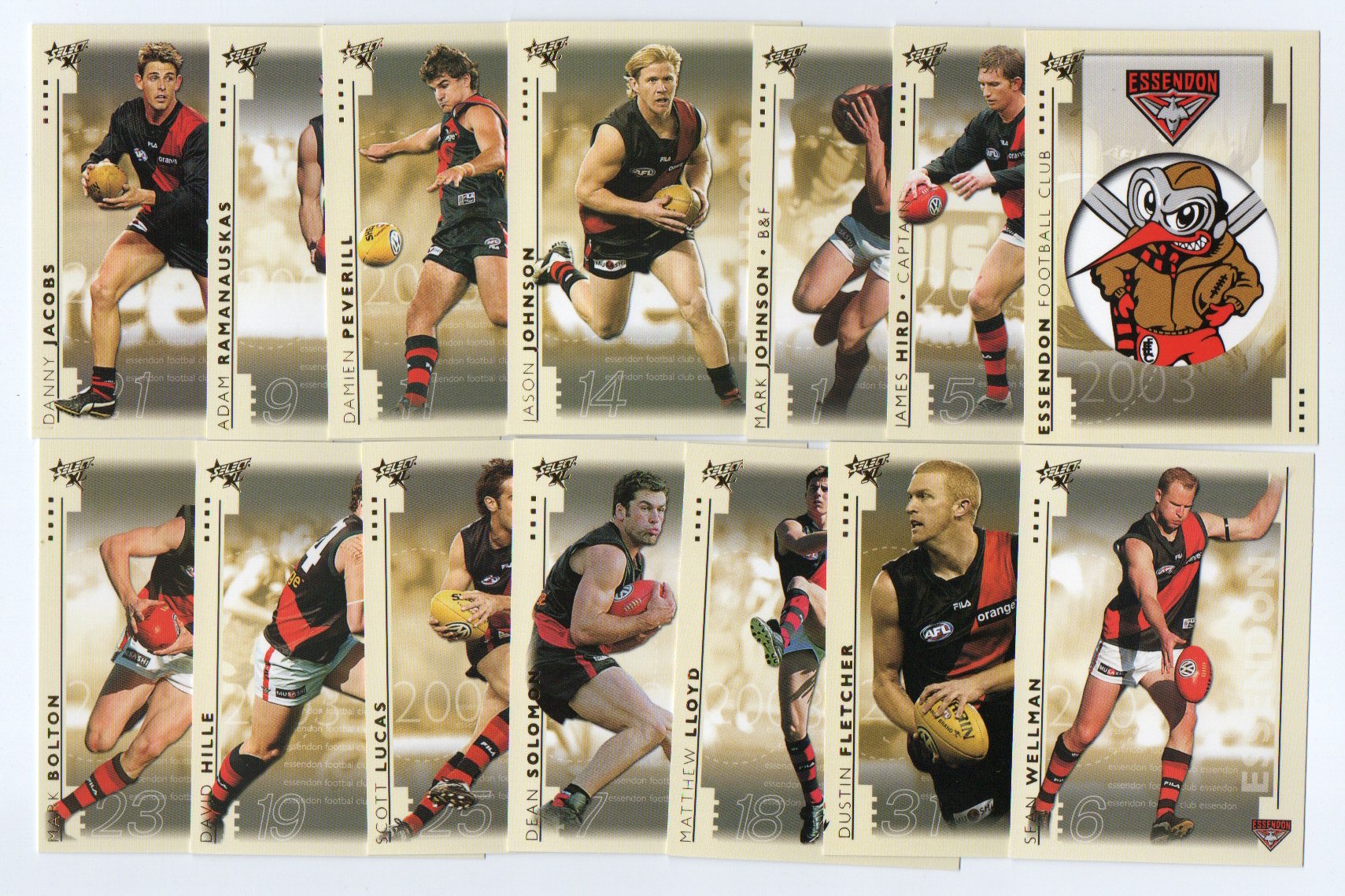 2003 Select XL Team Set – Essendon