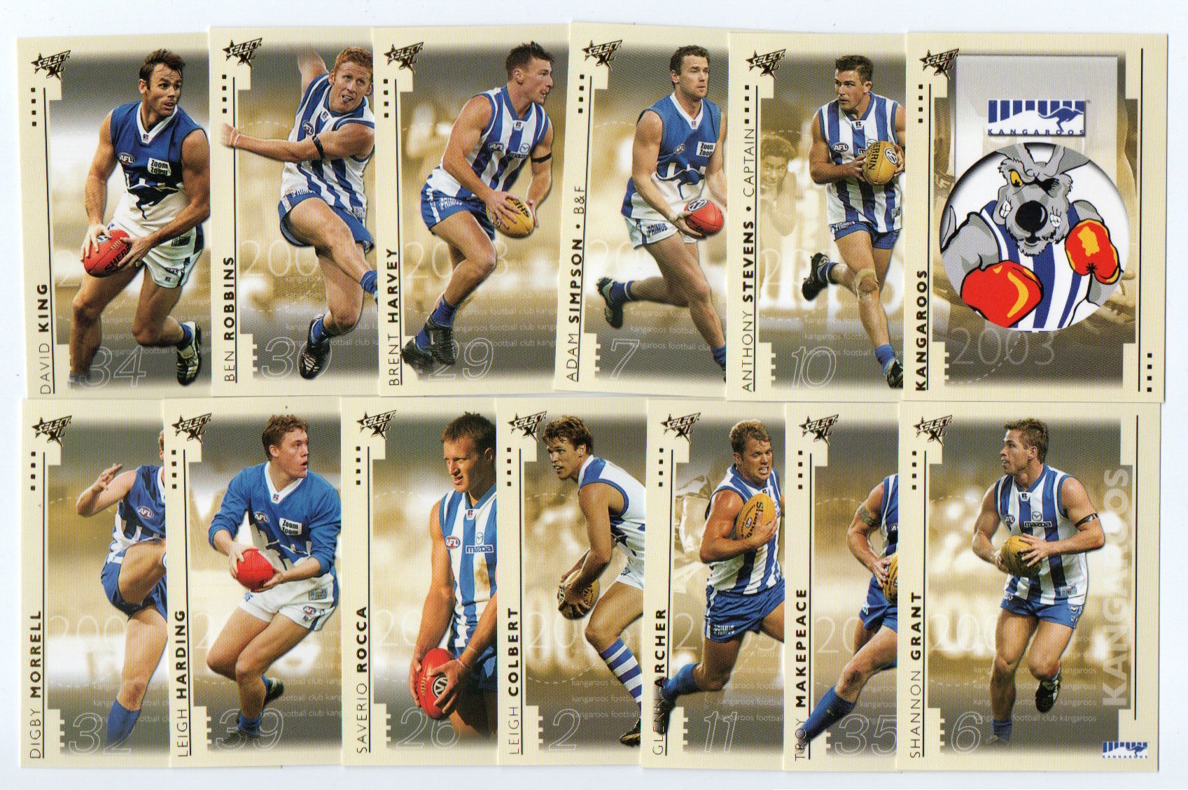 2003 Select XL Team Set – North Melbourne