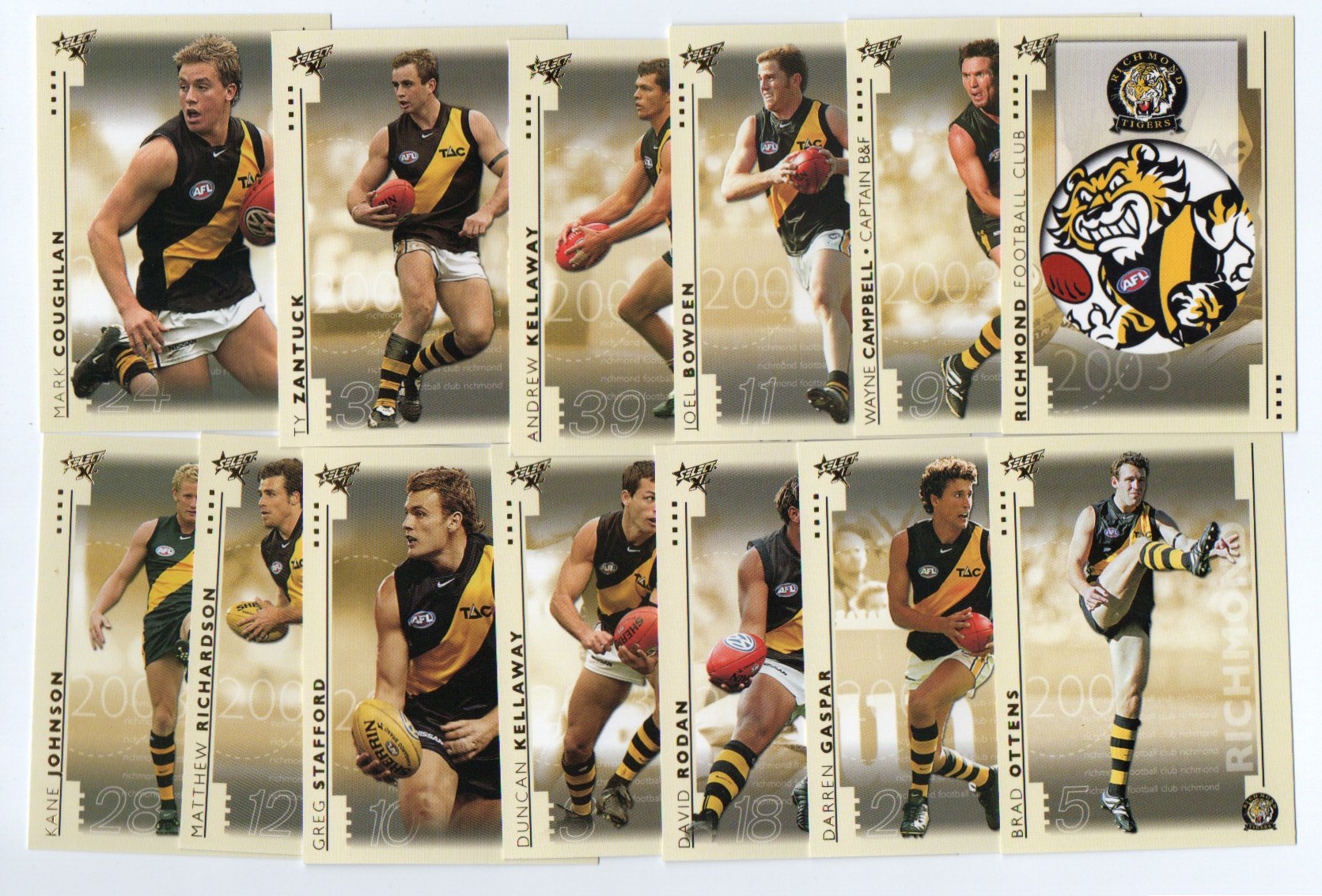 2003 Select XL Team Set – Richmond